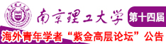 啊啊啊啊啊抽插视频南京理工大学第十四届海外青年学者紫金论坛诚邀海内外英才！